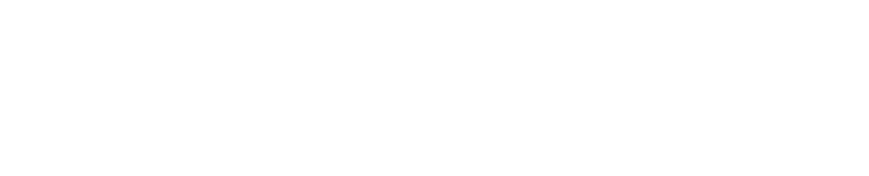 WS-design